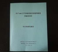 某装饰板项目可研报告实图